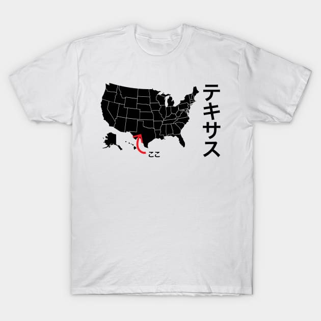 This is Texas / I am from Texas T-Shirt by kanchan